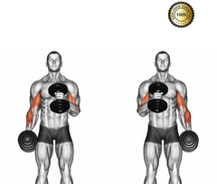 Kit Par De Halter 40cm C/ 8kg Anilhas Para Musculação