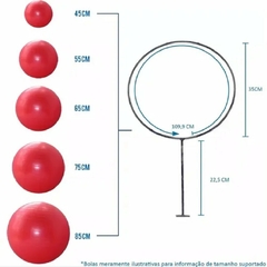 Kit com 3 Suporte para bola de pilates