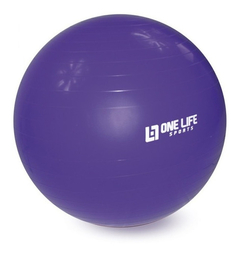 Imagem do Bola De Pilates 65 Cm + Suporte De Parede