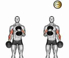 Peso Academia Par Halteres 40cm Barras Oca 8kg Anilhas 4x2kg na internet