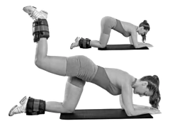EXTENSOR COM APOIO + COLCHONETE + STEP 60X30X10 + RODA + KIT MINI BAND + CANELEIRA 2 + hALTER 2 KG - loja online