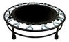 Kit Aeróbico Mini Jump 32 molas+ colchonete + Roda Abdominal + Corda + Step - Cheers Fitness