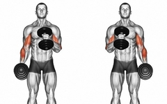Kit halter 2kg Emborrachado + Bola suíça 55 + Kit mini band + Colchonete de Espuma + Extensor com apoio para pés - Cheers Fitness