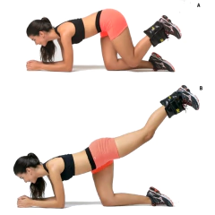 KIT TREINO EM CASA COM STEP + CANELEIRA 4KG + CANELEIRA 5KG - loja online