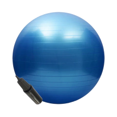 Bola Pilates Suica Yoga Ginastica 55cm com bomba de mão