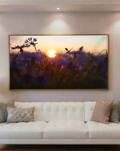 Quadro Decorativo Flores do Entardecer