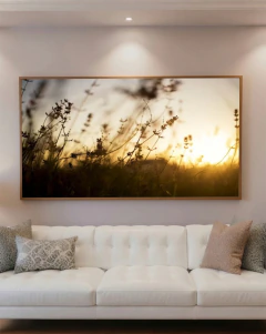 Quadro Decorativo Luz sobre o Campo