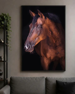 Quadro Decorativo Nobreza de Bronze