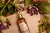 Loção Perfumada Desodorante Corporal Pitanga e Flor de Maracujá 300ml - Laura Frezza Concept - Loja Multimarcas
