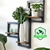 Imagem do Suporte para plantas