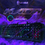 TECLADO KAOS- EVOLUT EG-210 - COM FIO
