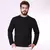 SUETER MOLETOM BASICO NEW - loja online