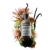 Imagem do L'Oréal Professionnel Shampoo Absolut Repair Molecular 300ml