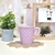 TAZA CUADRILLE en internet