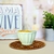 BOWLS CERAMICA VAINILLA - comprar online