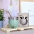MATE RAICES CON BOMBILLA Y PACKAGING - Reino mayorista
