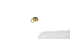 pinjentes -