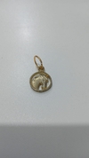 pinjentes -cavalo