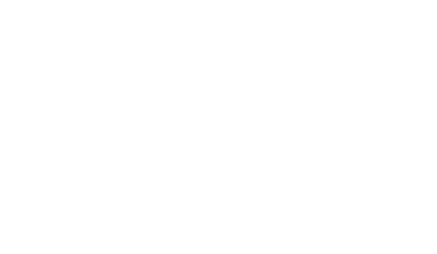 Fama Lingeries