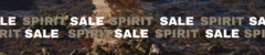 Banner de la categoría PRODUCTOS EN SALE