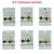 PACK de Hebillas Pico Mujer A en internet