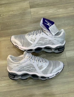 mizuno prophecy 1