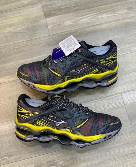 mizuno prophecy 1