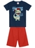 Conjunto infantil menino com bermuda moletinho Dino