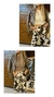 Jean Cow - tienda online