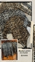 Imagen de Body print de modal
