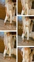 Conjunto Jade largo en internet