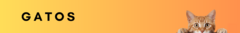 Banner de la categoría Gatos