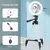 Luz LED Anel Selfie com Tripé e Controle Remoto - Transforme suas fotos com iluminação profissional! - comprar online