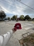Gorras - thestore__77