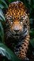 Natureza 