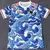Camiseta Japón Edición Especial II