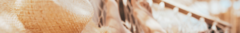 Banner da categoria seu estilo livre