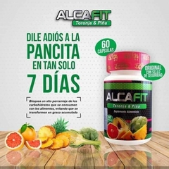 ALCAFIT en internet