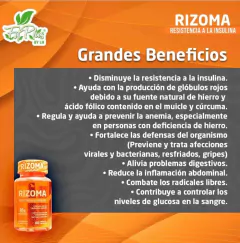 Imagen de RIZOMA