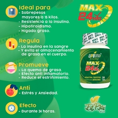 LIPODRNA MAX 24 HORAS en internet