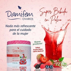 Imagen de DAMIFEM POLVO