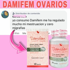 DAMIFEM