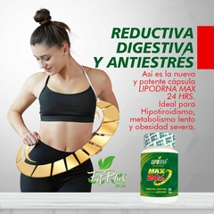 LIPODRNA MAX 24 HORAS - tienda en línea
