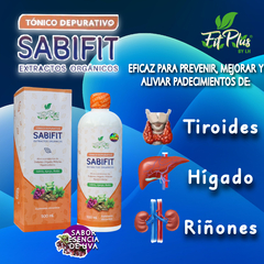 SABIFIT en internet