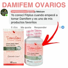 Imagen de DAMIFEM
