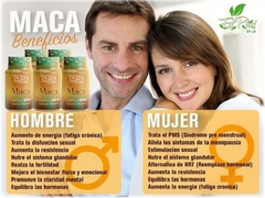 MACA CÁPSULAS en internet