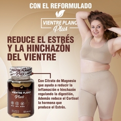 VIENTRE PLANO PLUS en internet