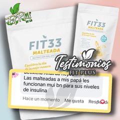 FIT 33 MALTEADA - comprar en línea
