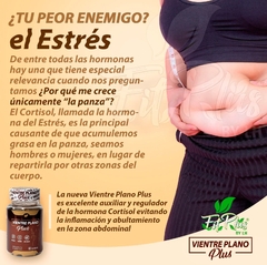 VIENTRE PLANO PLUS