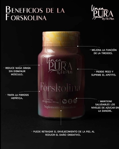 FORSKOLINA - tienda en línea